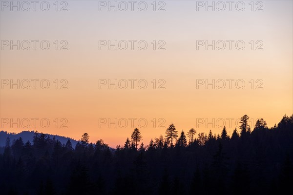 View in the morning light of the Belchen in the Black Forest