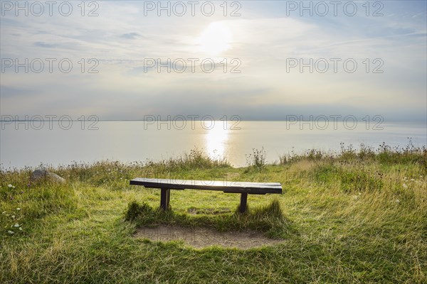 Shoreline with Sun and Bench in Summer