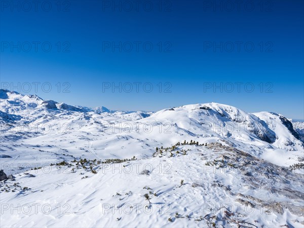 Blue sky over winter landscape