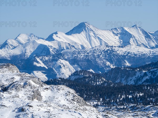 Winter landscape