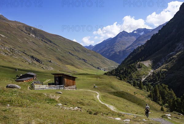 Hikers walking on the alpine pastures in the Rofental