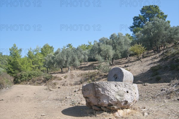 Old stone oil press