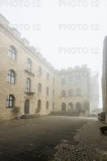 Hambach Castle in the fog