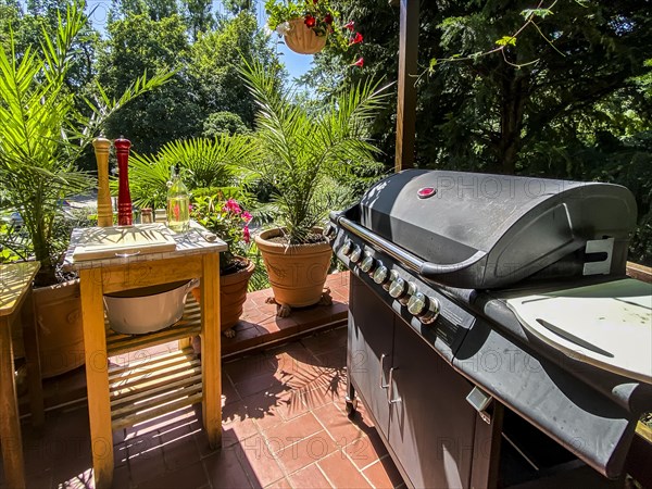 Tropical garden with barbecue station Salt and pepper mill with oil and spices