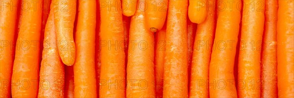 Carrots Carrot Vegetable Background From Above Panorama