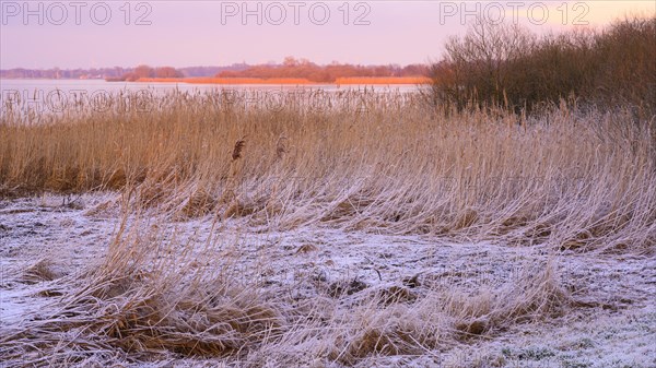Winter atmosphere on the shore of Lake Duemmer