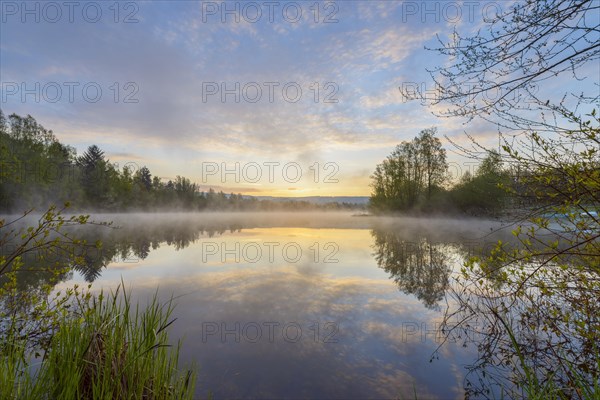 Lake with morning mist at dawn
