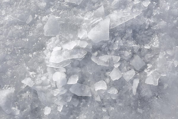 Chunks of ice on a frozen surface