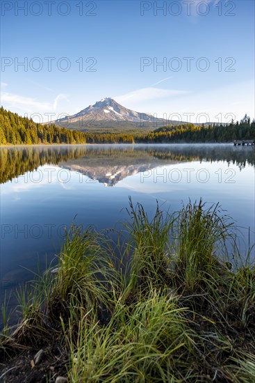 Lake shore with grass