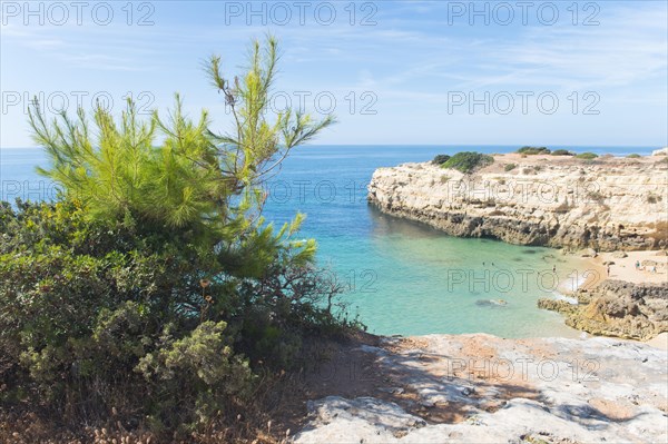 Rock cliff landscape Praia da Albandeira