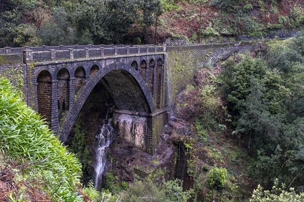 Bridge over green gorge with fog near Ribeiro Frio