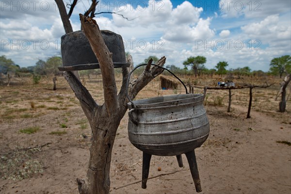 Cookware hanging from a tree in a village