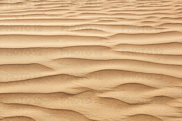 Desert with sand in Dubai