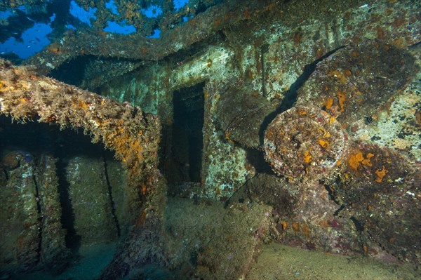 Right Replacement propeller on deck of wreck of sunken cargo ship M/V M/N Kent