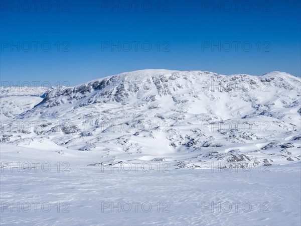 Blue sky over winter landscape