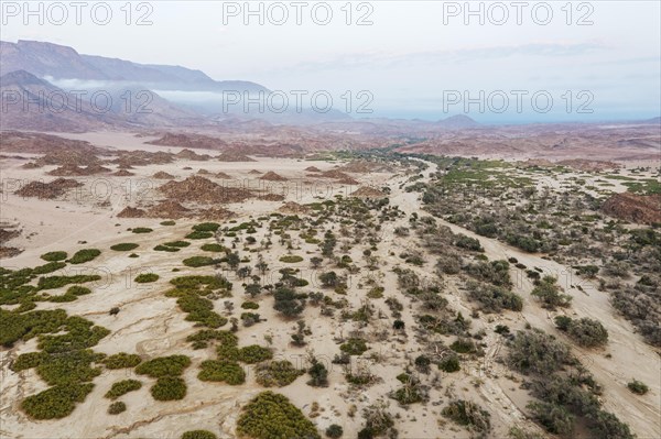 The dry bed of the Ugab river at dawn