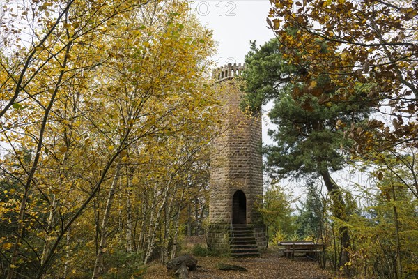 Autumn-coloured forest and observation tower