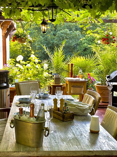 Tropical garden with set table with barbecue station Salt and pepper mill with oil and spices