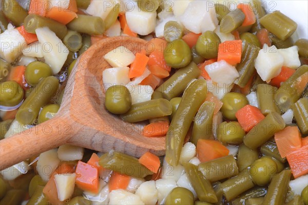 Ingredients for Russian salad in bowl and cooking spoon