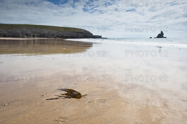 Rocky coast in Pembrokeshire National Park