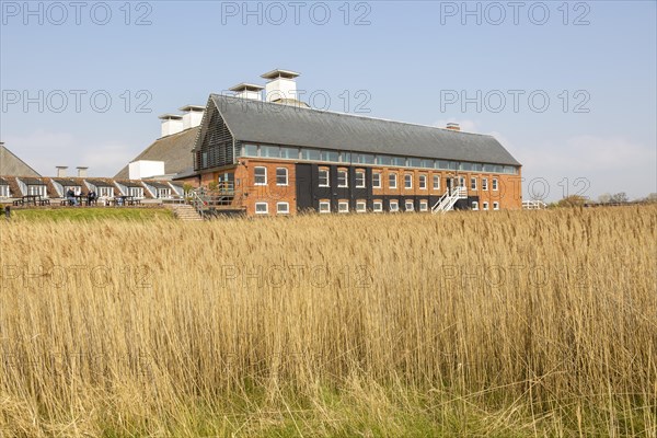 View of concert hall over reeds