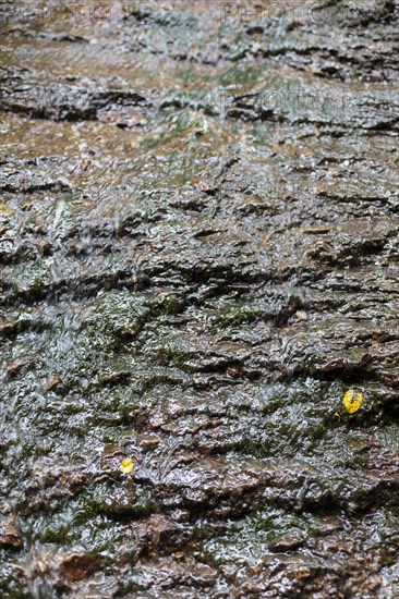 Water flowing down a rock face