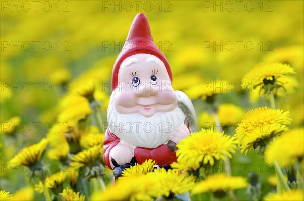 Garden gnome