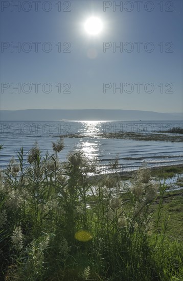 Beach near Migdal