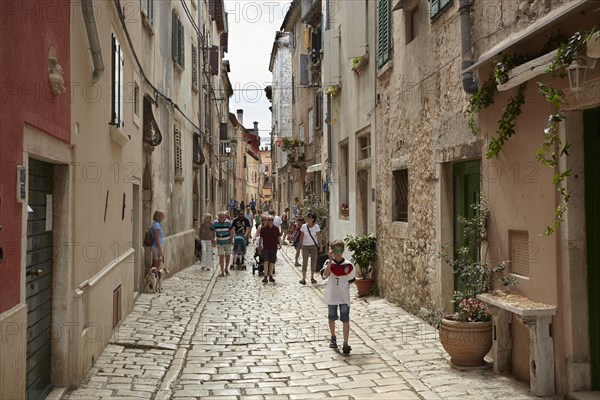Alley in the old town