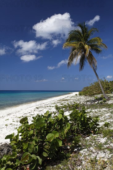 Sandy beach beach with lagoon