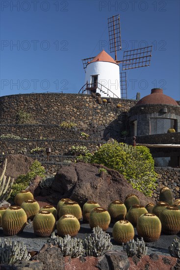 Jardin de Cactus