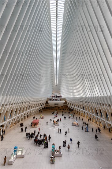 World Trade Center Station Santiago Calatrava Oculus in New York