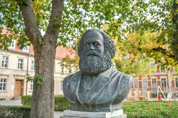 Karl Marx bust