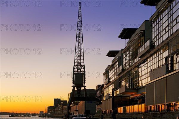 Crane at the fishing harbour at sunset