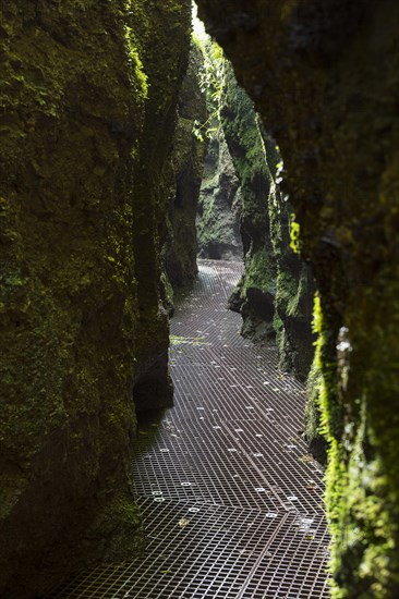 Hiking trail through narrows of the Drachenschlucht