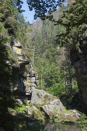 Rock faces in the Kamenice valley