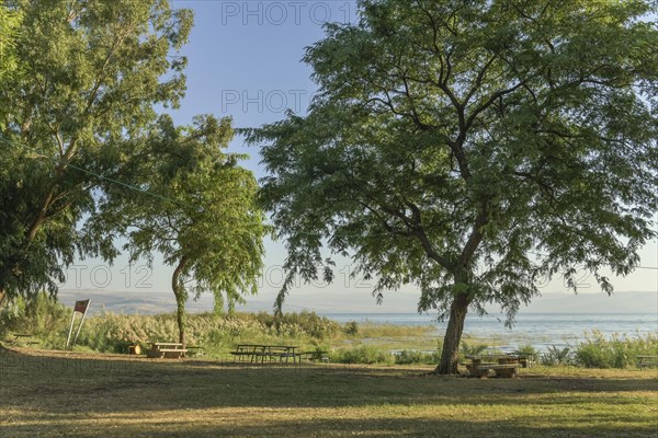 Park on the beach at Migdal