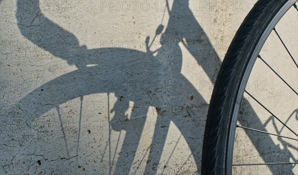 Spoked wheel of a bicycle