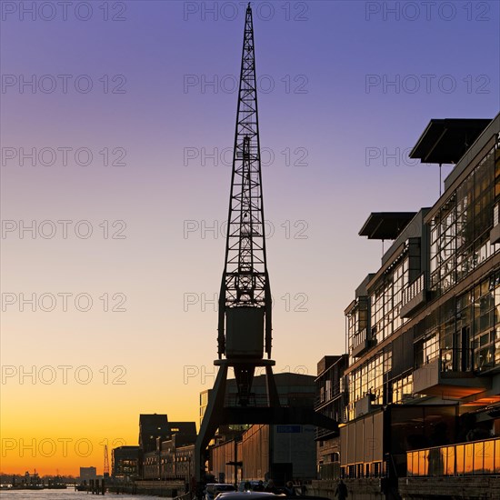 Crane at the fishing harbour at sunset