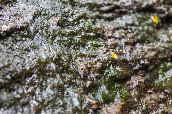 Water flowing down a rock face