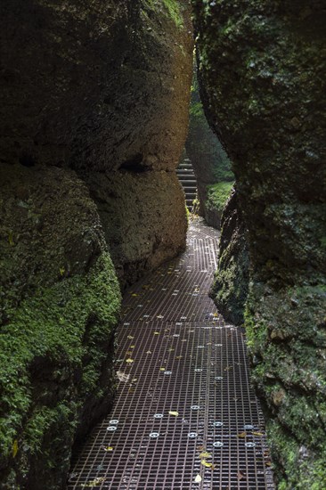 Hiking trail through narrows of the Drachenschlucht