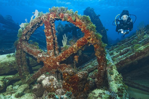 Diver looking at large upright gear in destroyed shipwreck