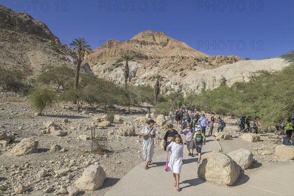 Hikers in Wadi David
