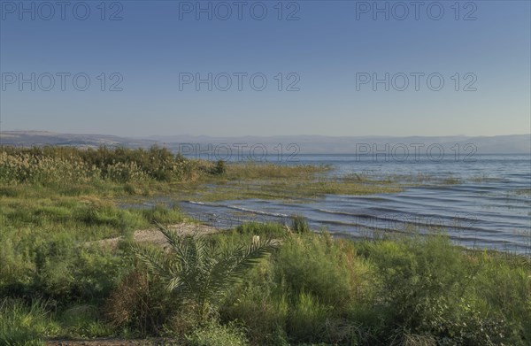 Beach near Migdal