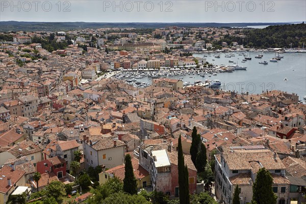 View over Rovinj