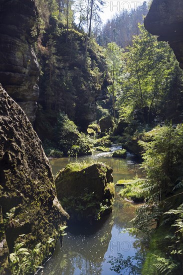 Rock faces in the Kamenice valley