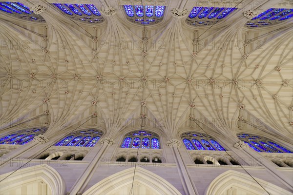 Vaulted Ceiling