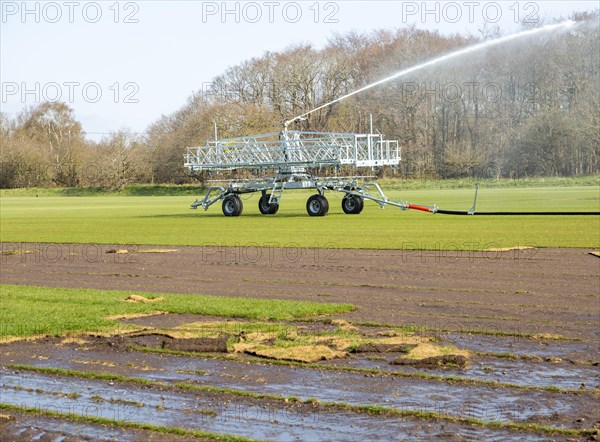 Irrigator machine spraying water turf farming