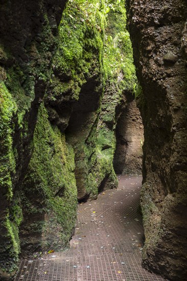 Hiking trail through narrows of the Drachenschlucht