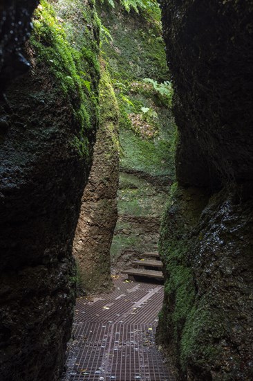 Hiking trail through narrows of the Drachenschlucht